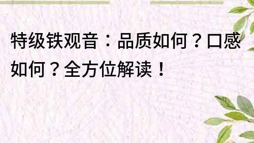 特級鐵觀音：品質如何？口感如何？全方位解讀！