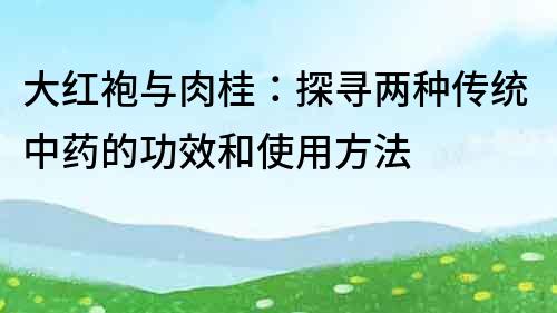 大紅袍與肉桂：探尋兩種傳統(tǒng)中藥的功效和使用方法