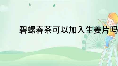 碧螺春茶可以加入生姜片嗎？
