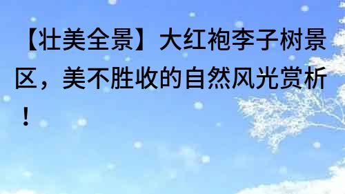 【壯美全景】大紅袍李子樹景區，美不勝收的自然風光賞析！