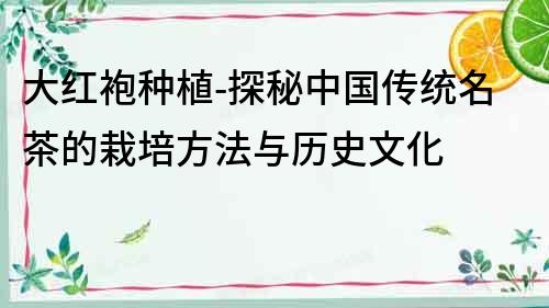 大紅袍種植-探秘中國傳統(tǒng)名茶的栽培方法與歷史文化