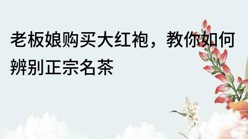 老板娘購買大紅袍，教你如何辨別正宗名茶