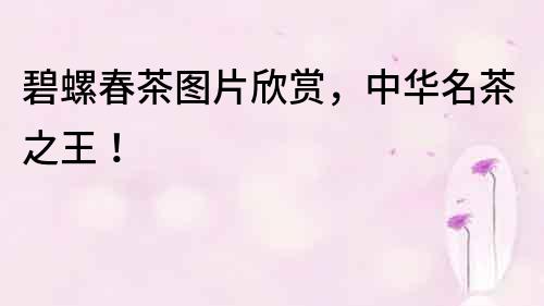 碧螺春茶圖片欣賞，中華名茶之王！
