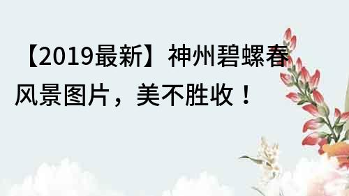 【2019最新】神州碧螺春風景圖片，美不勝收！