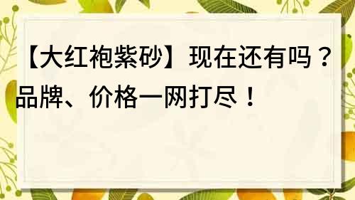 【大紅袍紫砂】現在還有嗎？品牌、價格一網打盡！