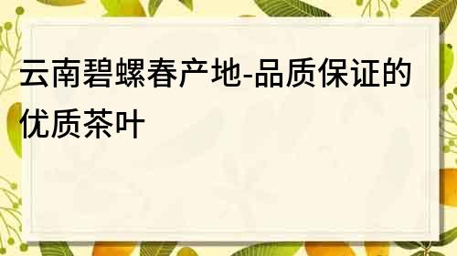云南碧螺春產地-品質保證的優質茶葉