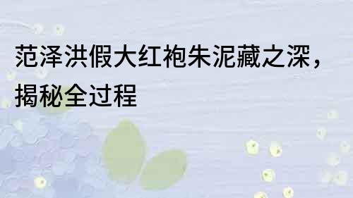 范澤洪假大紅袍朱泥藏之深，揭秘全過程