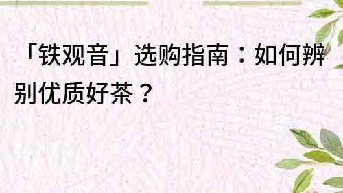 「鐵觀音」選購指南：如何辨別優質好茶？