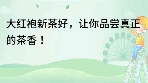 大紅袍新茶好，讓你品嘗真正的茶香！