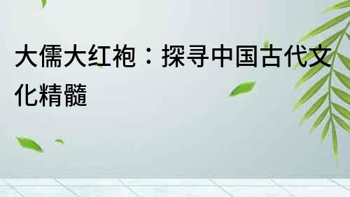 大儒大紅袍：探尋中國古代文化精髓