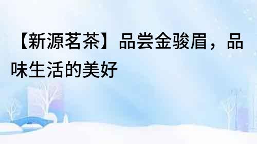 【新源茗茶】品嘗金駿眉，品味生活的美好