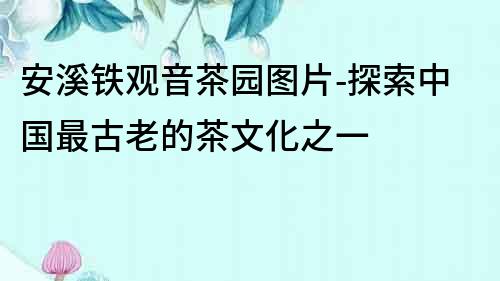 安溪鐵觀音茶園圖片-探索中國最古老的茶文化之一