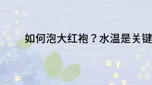 如何泡大紅袍？水溫是關鍵！