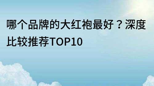哪個品牌的大紅袍最好？深度比較推薦TOP10