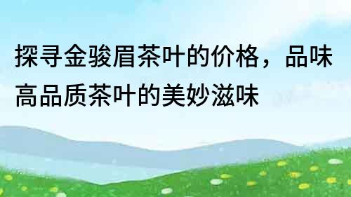 探尋金駿眉茶葉的價格，品味高品質茶葉的美妙滋味