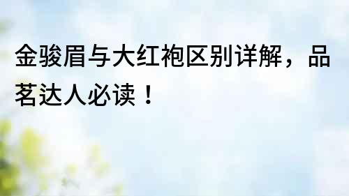 金駿眉與大紅袍區(qū)別詳解，品茗達(dá)人必讀！
