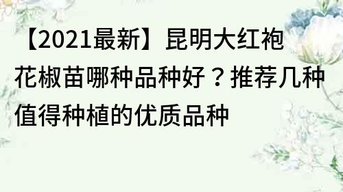 【2023最新】昆明大紅袍花椒苗哪種品種好？推薦幾種值得種植的優質品種