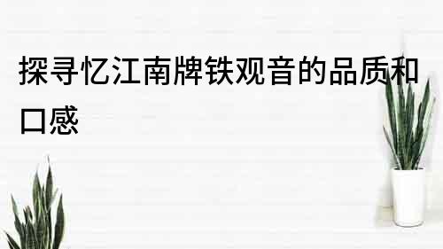探尋憶江南牌鐵觀音的品質和口感