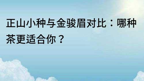 正山小種與金駿眉對比：哪種茶更適合你？