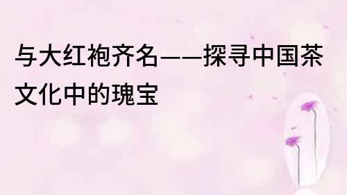 與大紅袍齊名——探尋中國(guó)茶文化中的瑰寶