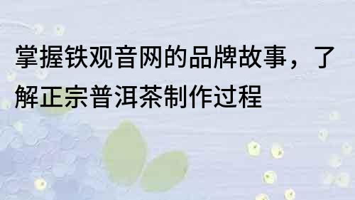 掌握鐵觀音網的品牌故事，了解正宗普洱茶制作過程