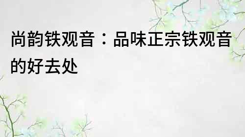尚韻鐵觀音：品味正宗鐵觀音的好去處