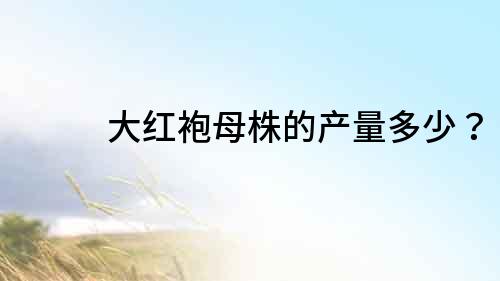 大紅袍母株的產量多少？