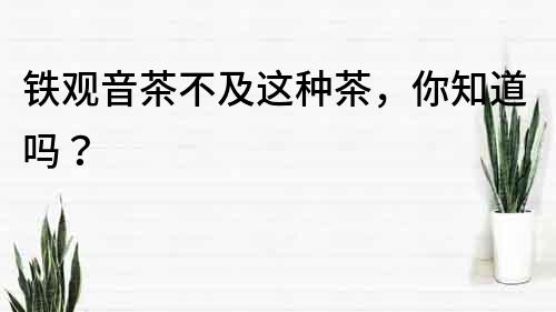 鐵觀音茶不及這種茶，你知道嗎？