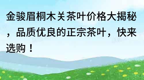 金駿眉桐木關茶葉價格大揭秘，品質優良的正宗茶葉，快來選購！