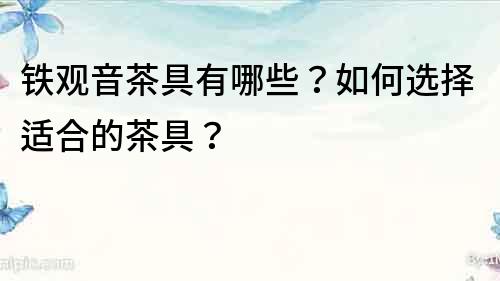 鐵觀音茶具有哪些？如何選擇適合的茶具？