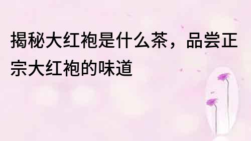 揭秘大紅袍是什么茶，品嘗正宗大紅袍的味道