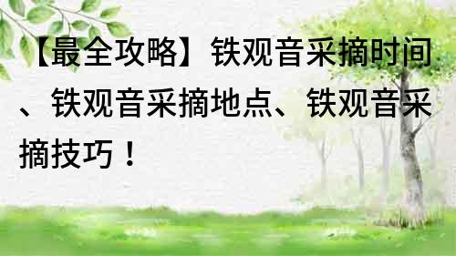 【最全攻略】鐵觀音采摘時(shí)間、鐵觀音采摘地點(diǎn)、鐵觀音采摘技巧！