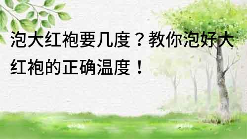 泡大紅袍要幾度？教你泡好大紅袍的正確溫度！