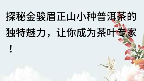 探秘金駿眉正山小種普洱茶的獨(dú)特魅力，讓你成為茶葉專家！