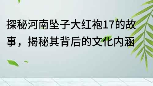 探秘河南墜子大紅袍17的故事，揭秘其背后的文化內涵