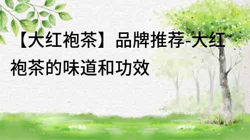【大紅袍茶】品牌推薦-大紅袍茶的味道和功效