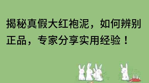 揭秘真假大紅袍泥，如何辨別正品，專家分享實用經驗！