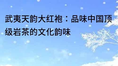 武夷天韻大紅袍：品味中國(guó)頂級(jí)巖茶的文化韻味