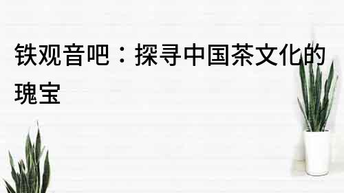 鐵觀音吧：探尋中國茶文化的瑰寶