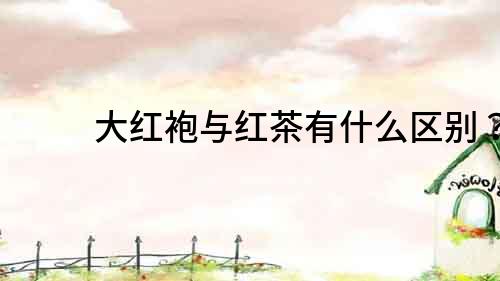 大紅袍與紅茶有什么區別？