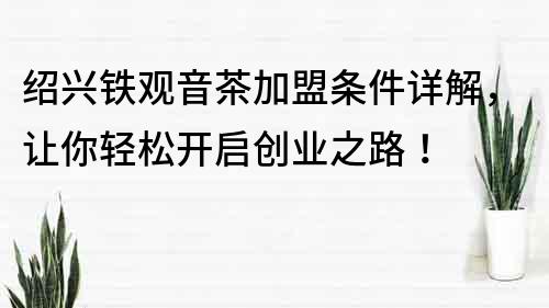紹興鐵觀音茶加盟條件詳解，讓你輕松開啟創業之路！