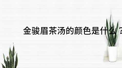 金駿眉茶湯的顏色是什么？