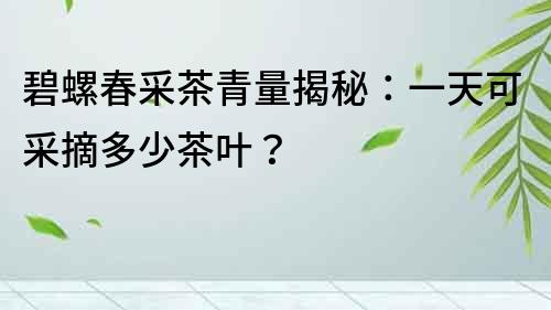 碧螺春采茶青量揭秘：一天可采摘多少茶葉？