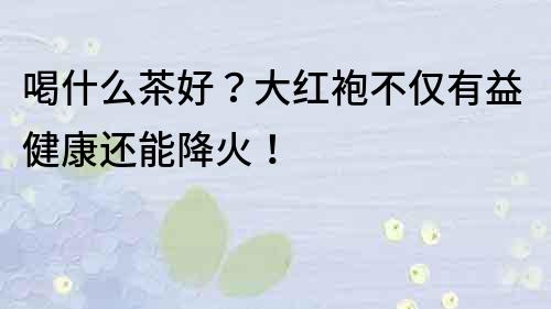 喝什么茶好？大紅袍不僅有益健康還能降火！