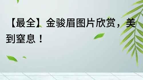 【最全】金駿眉圖片欣賞，美到窒息！