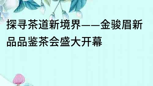 探尋茶道新境界——金駿眉新品品鑒茶會盛大開幕