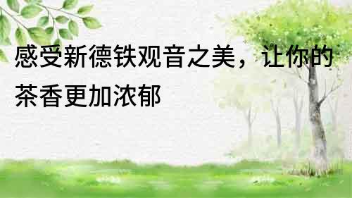 感受新德鐵觀音之美，讓你的茶香更加濃郁