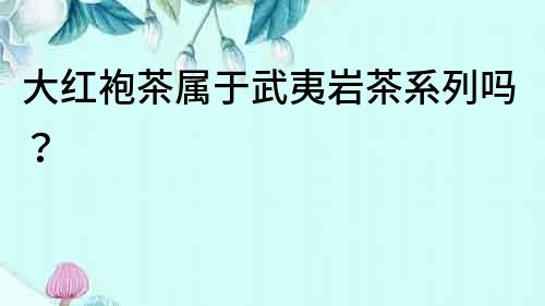 大紅袍茶屬于武夷巖茶系列嗎？