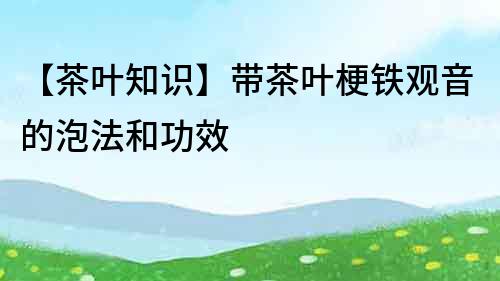 【茶葉知識】帶茶葉梗鐵觀音的泡法和功效