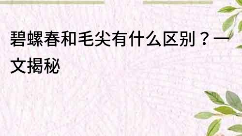 碧螺春和毛尖有什么區別？一文揭秘